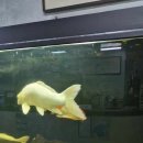 박규래정형외과의원 이미지