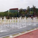 한방엑스포공원 이미지