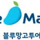 블루망고투어 이미지