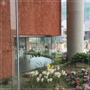 올스테이 이미지