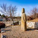 용장리 느티나무 이미지