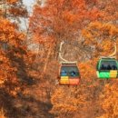 발왕산 관광케이블카 코스 이미지