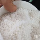 김치&젓갈