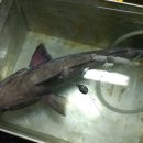 정일산업㈜ 이미지