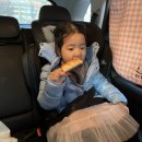 1월의 기록(2) (합정 우동카덴,모루인형만들기,모루인형재료,동대문 모루인형,동대문부자재,방학 동대문...