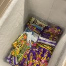 도야지한마리 이미지