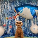 바우스쿨 이미지