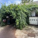 조양방직 이미지