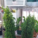 봉의농장 이미지