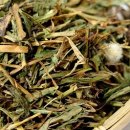 차만들기 이미지