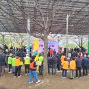 누리정비 | 지금 가면 더 특별한 갈산공원, 갈산누리봄축제 벚꽃비 감성 산책 후기(주차장 안내)