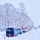 스카이택시협동조합 | 비에이 택시투어│고민 끝에 정리한 아사히카와 출발 택시투어 업체 4곳 비교