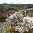 박애병원 이미지