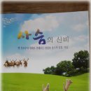 진석농장 Daum카페