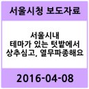 내곡동436 이미지