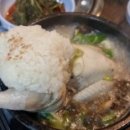 사시사철 흑염소.오리 이미지