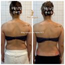 모이라 이미지