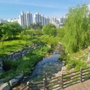 HY에너지 1호 | [안양]●범계PT● 여성전용 범계헬스장 다이어트후 골격근량증가전략 "기회의 창"[식단편]