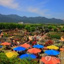 곡성세계장미축제장 이미지