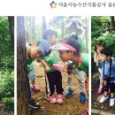 서울시농수산식품공사올본어린이집