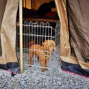 메사 캠핑장 이미지