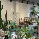 이배재로 59 이미지