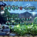 유월 장마 - 시 허정인 - 이미지