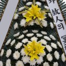 수원-0195 네이버블로그