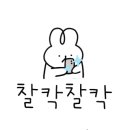 볼리에르스테이 이미지