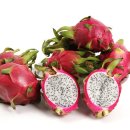 은수네농장 이미지