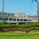 코스카cc 이미지