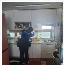 해충방제 방역업체 추천, 케어원 날벌레 퇴치 서비스 후기!