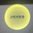고민사진관 강남구청점 이미지