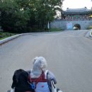 전등사매표소(남문) 이미지