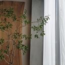 나만의 퍼스널컬러 찾기 이미지