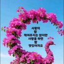 마음가짐 Daum카페