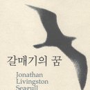 비전퀘스트