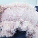 개도만족 이미지