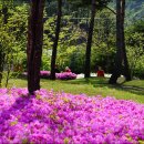 백야김좌진장군생가지 사당 이미지