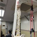 세광밸런스TC 이미지