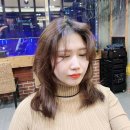 디자인에비뉴