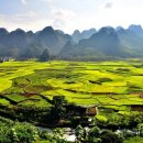 과수원민박 | 산촌민박