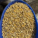 대주 농장 이미지