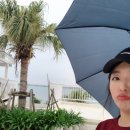 섬우