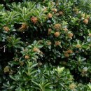 월평하원로 이미지