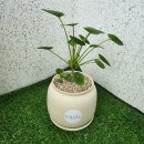 (주)플레아 네이버블로그