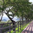 남한강, 낙동강 강줄기를 따라 달린 자전거 여행 이미지