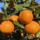 동식농장 이미지