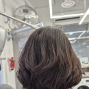 머리꾼미용실 - 성북구 | 머리꾼미용실