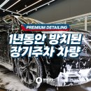 블랙몬스터 카정비&스팀세차 | 장기주차 시 주의사항은? 1년동안 방치된 자동차 곰팡이 냄새까지 싹!